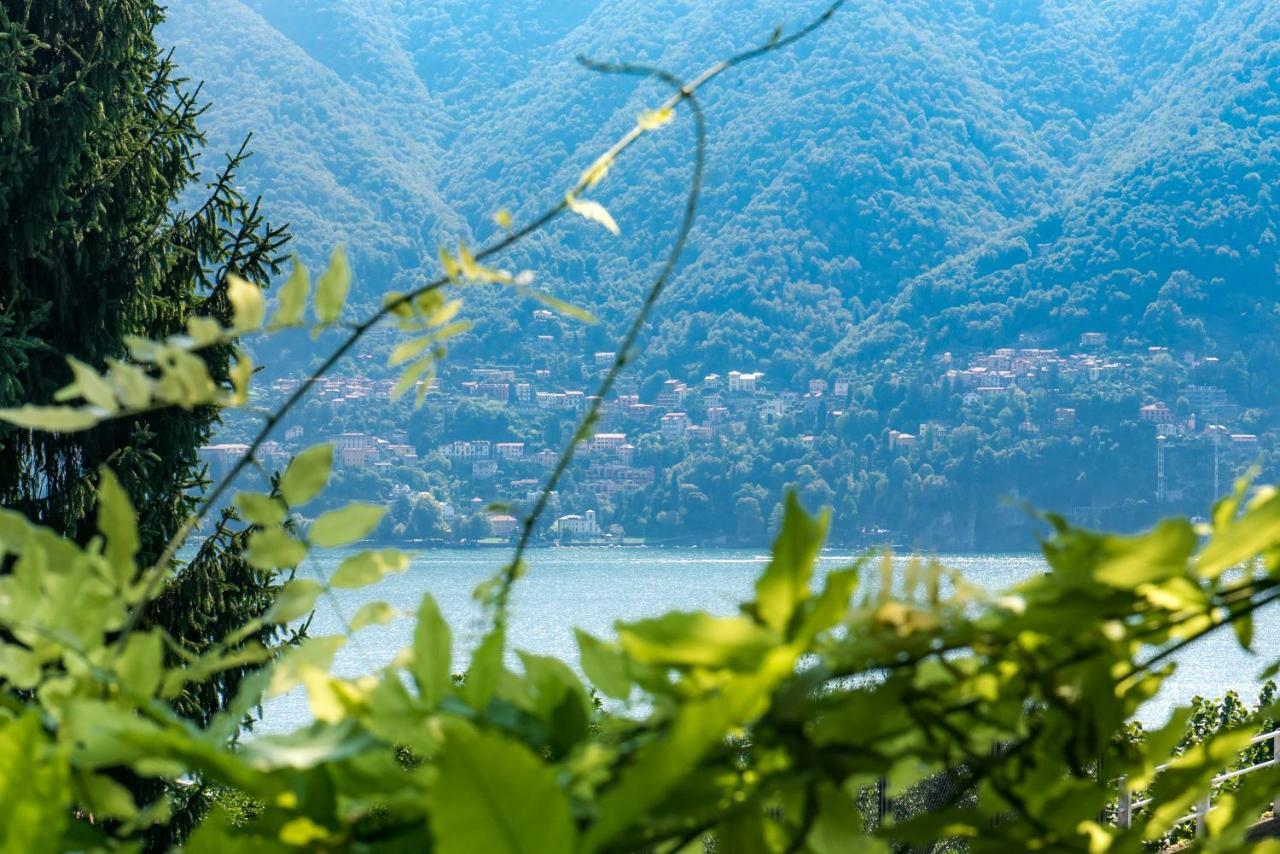 Villa Vittoria - The House Of Travelers Cernobbio Ngoại thất bức ảnh